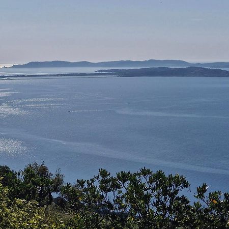 Appartement Cosy Vue Mer A 50 M De La Plage - Refait A Neuf Et Climatise Le Pradet Zewnętrze zdjęcie