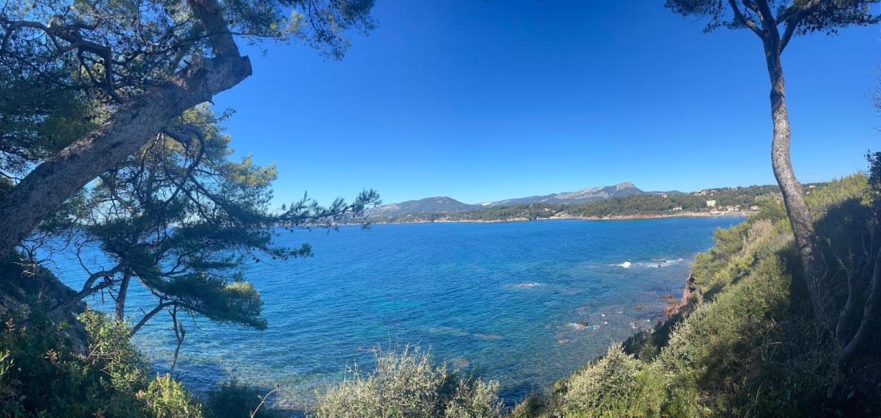 Appartement Cosy Vue Mer A 50 M De La Plage - Refait A Neuf Et Climatise Le Pradet Zewnętrze zdjęcie