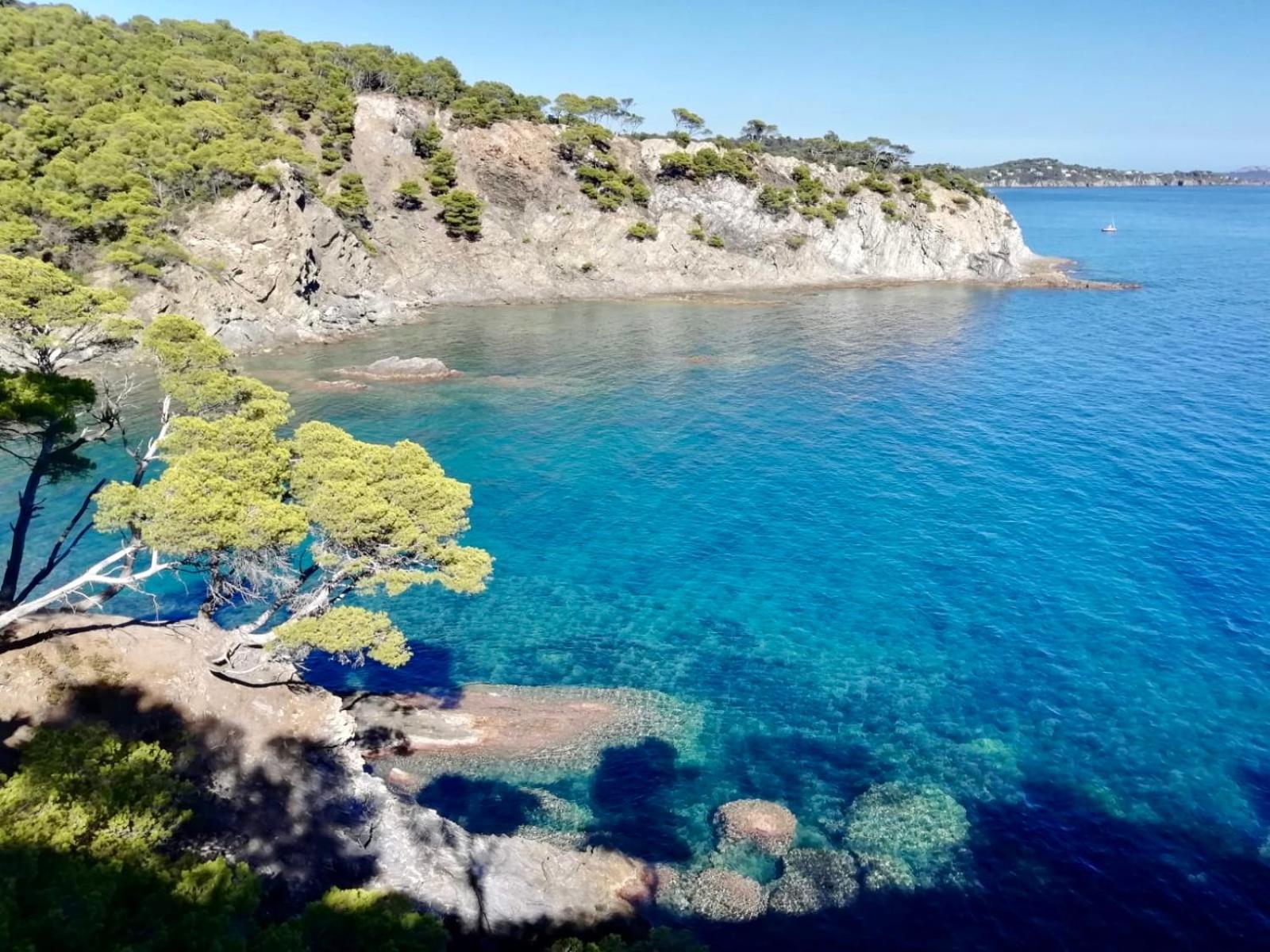 Appartement Cosy Vue Mer A 50 M De La Plage - Refait A Neuf Et Climatise Le Pradet Zewnętrze zdjęcie